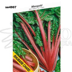 Mangold RHUBARB CHARD